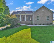 135 County Road 1335, Vinemont image
