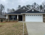 2138 Turquoise Lane, Calera image