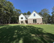 507 Baron Circle, Chelsea image
