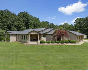 2877 Lamon Chapel Road, Jasper image