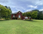 1237 Buena Vista Drive, Sylacauga image