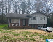 3013 Tall Tree Lane, Adamsville image