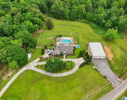 1750 County Road 461, Clanton image