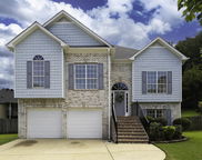 166 Ivy Brook Trail, Pelham image