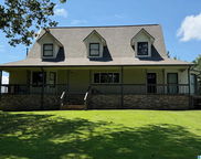 1050 Morris Road, Pell City image