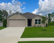 893 Camden Loop, Calera image