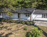25895 State Highway 75, Oneonta image