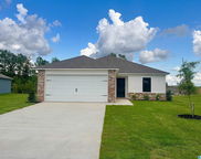 897 Camden Loop, Calera image