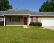 14359 Old Greensboro Road, Tuscaloosa image