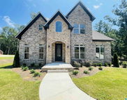 581 White Tail Run, Chelsea image