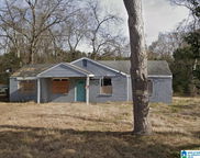 119 Cannon Street, Montgomery image