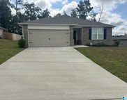 120 Coleman Way, Calera image