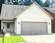 100 Deer Creek Drive, Odenville image