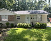 1037 Daniel Drive, Birmingham image
