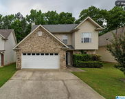 1123 Windsor Parkway, Moody image