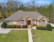 2840 Village Springs Road, Springville image