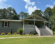 478 County Road 338, Chelsea image
