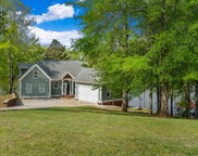 387 Misty Lane, Wedowee image