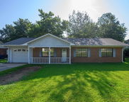 113 Palm Drive, Alabaster image