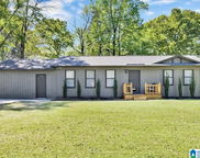 3020 Brandice Circle, Adamsville image