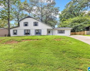 293 Fran Drive, Alabaster image