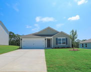 2090 Ogletree Place, Pell City image