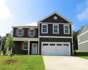 2052 Gadwall Drive, Alabaster image