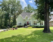 117 Indian Creek Drive, Pelham image