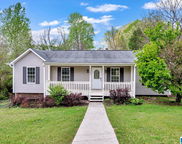 102 Sunny Brook Lane, Trussville image