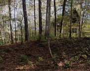 48 Hargis Drive, Chelsea image