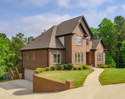 1025 Willow Branch Trail, Chelsea image