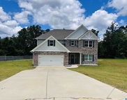 6643 White Oak Lane, Hueytown image