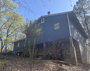 4418 Bell Hill Road, Bessemer image