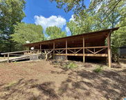 1101 Camp Winnataska Road, Pell City image