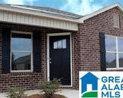 16412 Waterbury Lane, Moundville image