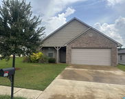 1081 Deerwood Circle, Pell City image