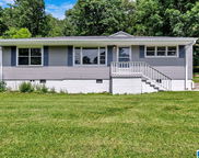 436 Central Avenue, Fultondale image
