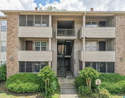 505 Patton Chapel Way Unit 505, Hoover image