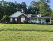 292 Adcock Mayo Road, Attalla image