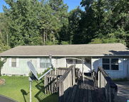 119 Hill Top Lane, Trussville image
