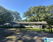 504 Coosa Island Road, Cropwell image