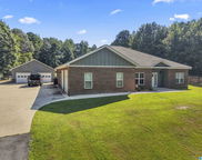 425 Crooked Creek Lane, Odenville image