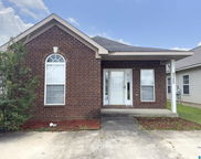 9725 Moonlight Drive, Tuscaloosa image