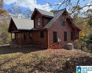 830 County Road 269, Wedowee image