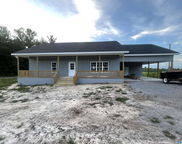 13505 County Road 24, Verbena image