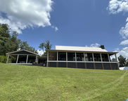 863 County Road 481, Clanton image