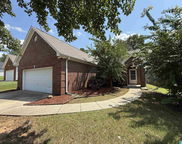 104 Sunflower Place, Alabaster image