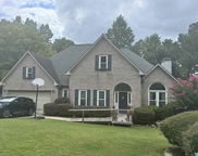 337 Delcris Court, Homewood image