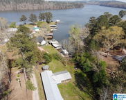 66 County Road 705, Verbena image