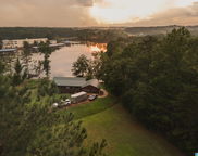 427 Misty Lane, Wedowee image